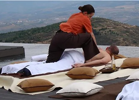 Hotel&spa Alfândega Douro Valley 4*