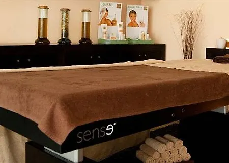 Alfandega Da Fe Hotel & Spa Hotell Sambade