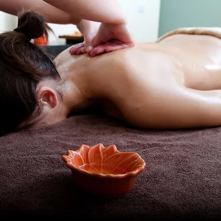 Hotel Hotel&spa Alfândega Douro Valley