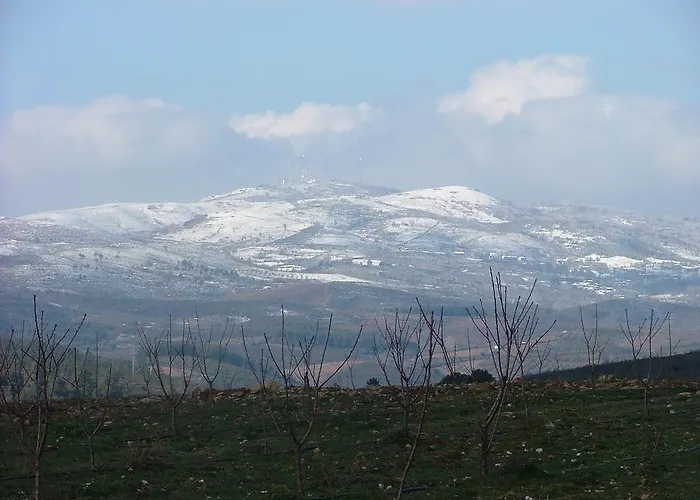 Hotel Oca Douro Valley Hotel&spa 4*