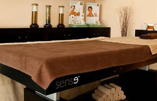 Hotel&spa Alfandega Douro Valley 호텔 Sambade